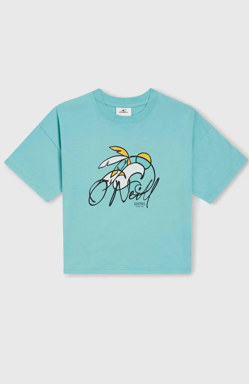 Online O’Neill Addy Graphic T-shirt | Ripling Shores