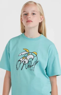 Online O’Neill Addy Graphic T-shirt | Ripling Shores
