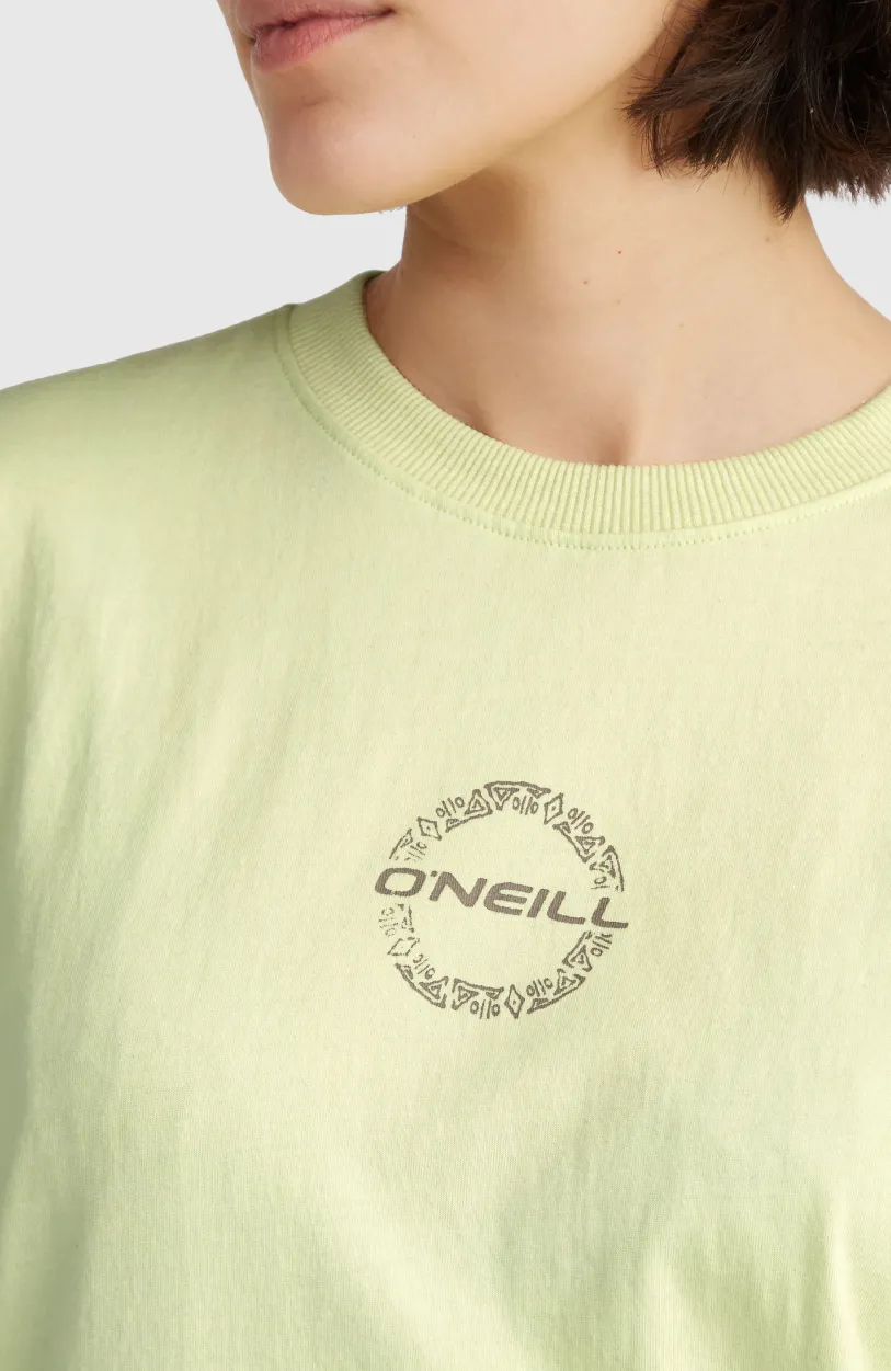 Discount O’Neill Back Graphic T-shirt | Lime Wash