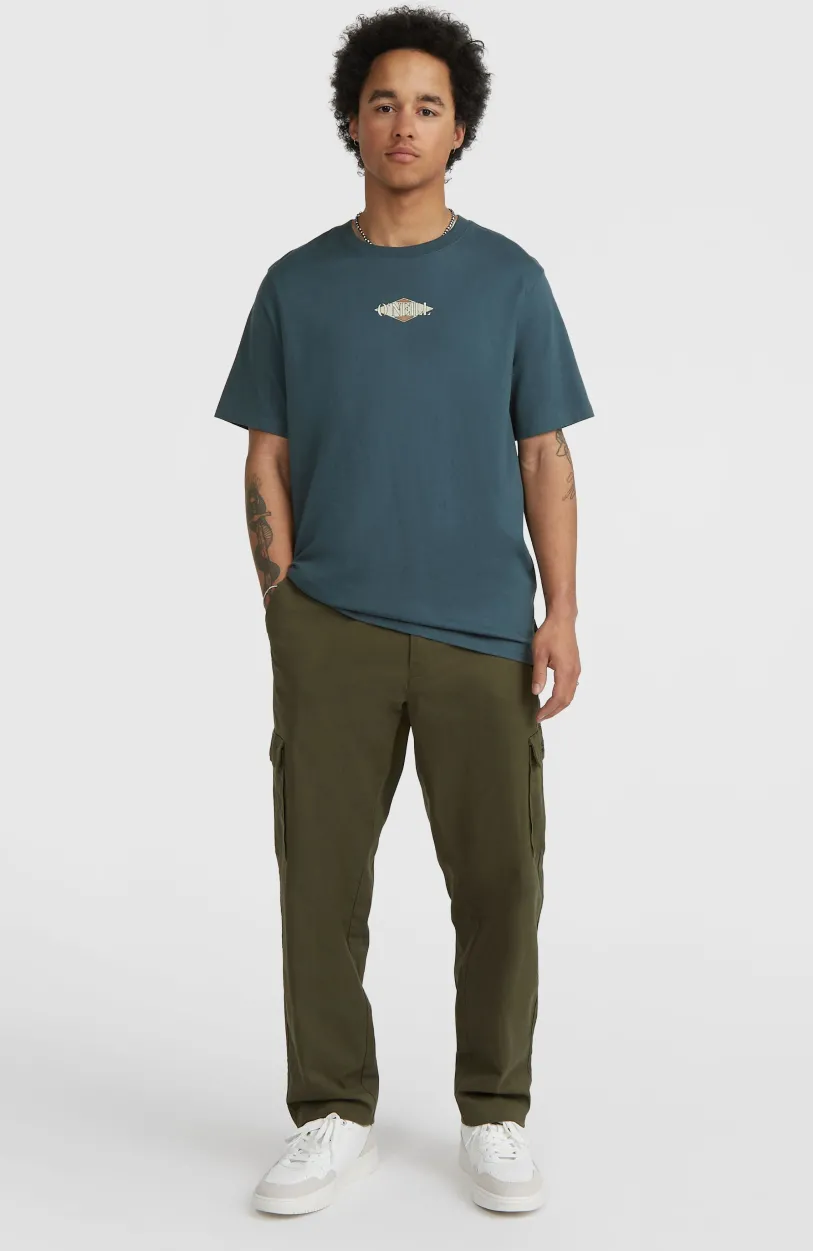 Best O’Neill Back Print T-shirt | Alma Steel