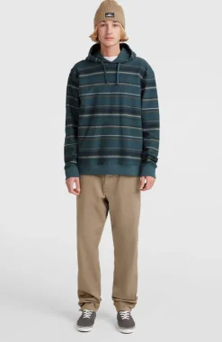 Hot O’Neill Bavaro Hoodie | Blue Ikat Stripe