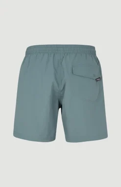 Clearance O’Neill Cali FSS 16'' Zwemshort | North Atlantic