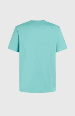 Online O’Neill Cali Original T-shirt | Ripling Shores