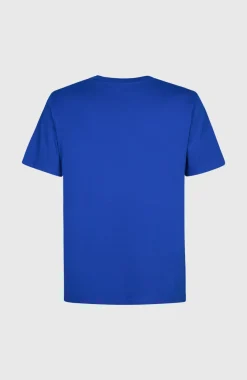 O’Neill Cali Original T-shirt | Surf the web Blue