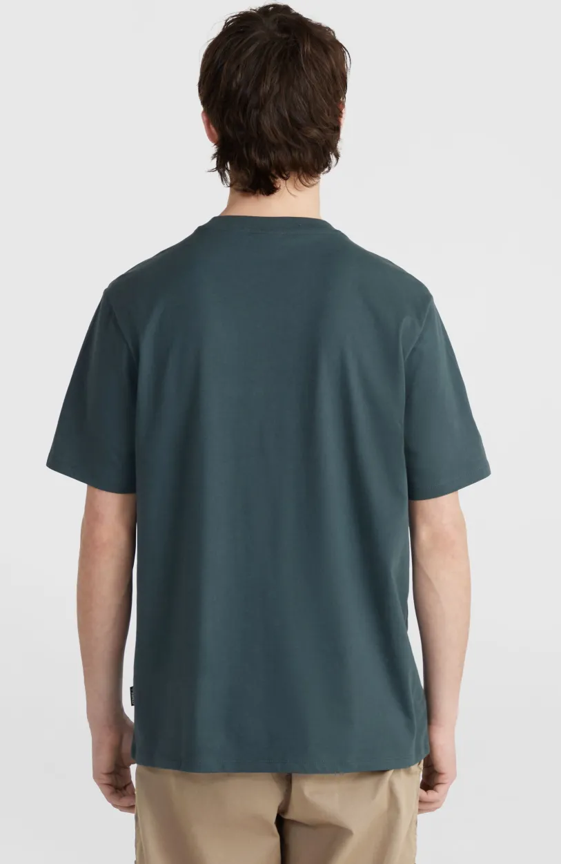 O’Neill Cali Wave T-shirt | Alma Steel