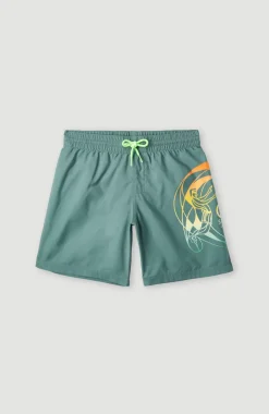 Outlet O’Neill Circle Surfer 14" Zwemshort | North Atlantic Circle Surfer Gradient