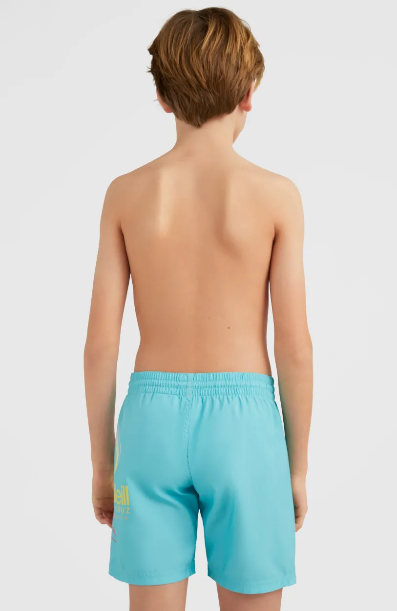 Hot O’Neill Circle Surfer 14" Zwemshort | Blue Circle Surfer gradient