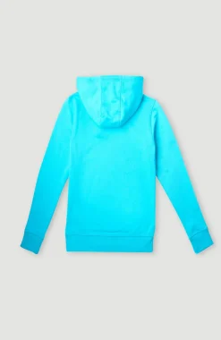 Clearance O’Neill Circle Surfer Hoodie | Bachelor Button