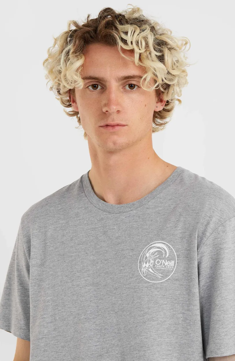 Clearance O’Neill Circle Surfer T-Shirt | Silver Melee -A