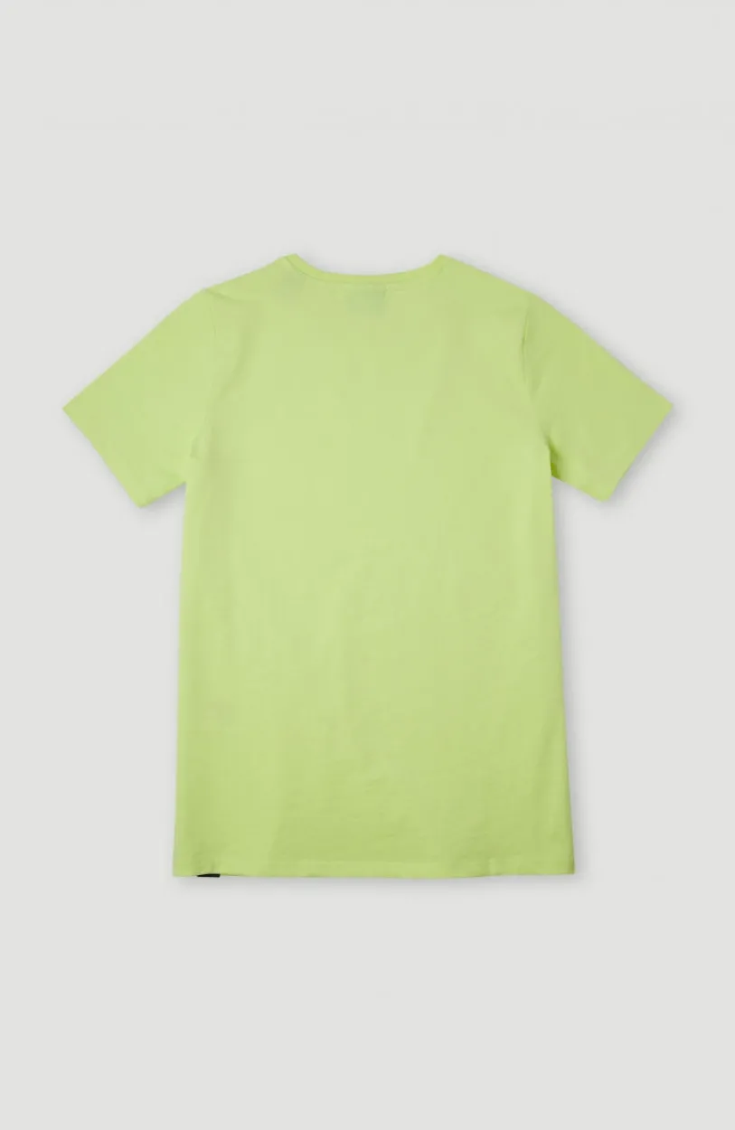 Hot O’Neill Circle Surfer T-Shirt | Sunny Lime