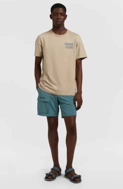 O’Neill Easton Cargo 17'' Hybrid Short | North Atlantic
