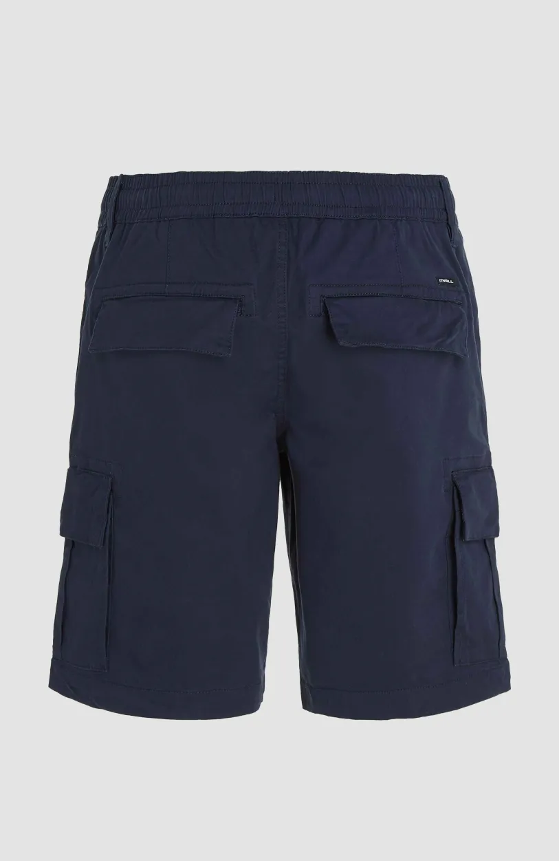 Best O’Neill Essentials Cargoshort | Outer Space