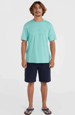 Online O’Neill Essentials Chinoshort | Outer Space
