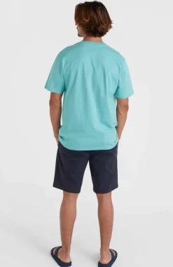 Online O’Neill Essentials Chinoshort | Outer Space