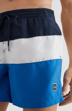 Hot O’Neill Frame Block Swim Short | Blue Multi 9