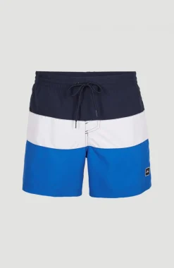 Hot O’Neill Frame Block Swim Short | Blue Multi 9