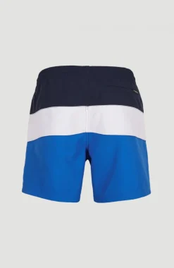 Hot O’Neill Frame Block Swim Short | Blue Multi 9