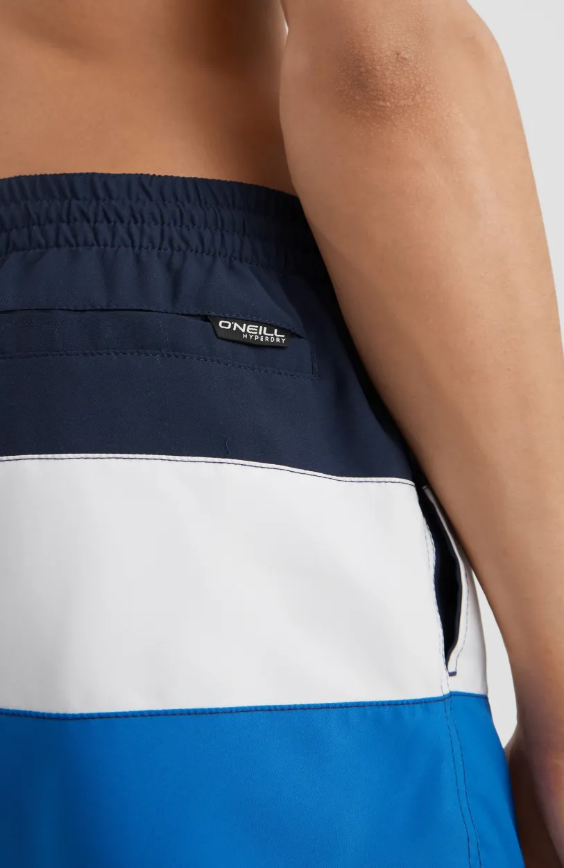 Hot O’Neill Frame Block Swim Short | Blue Multi 9