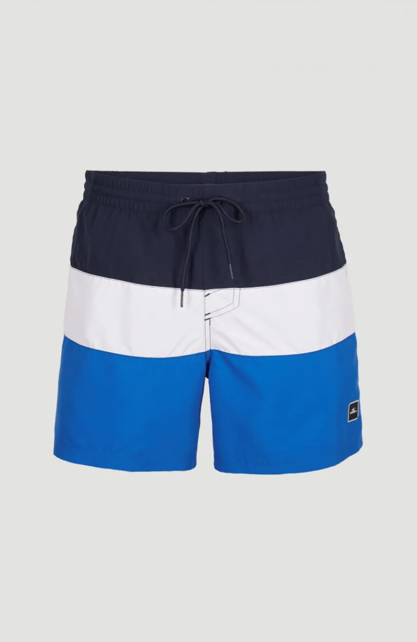 Hot O’Neill Frame Block Swim Short | Blue Multi 9