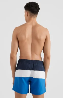 Hot O’Neill Frame Block Swim Short | Blue Multi 9