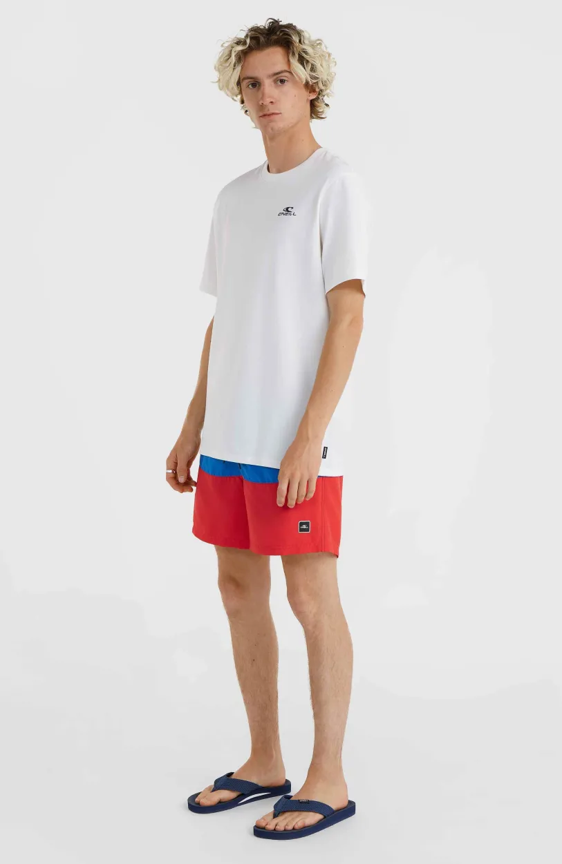 Discount O’Neill Frame Block Swim Short | Red Multi 2