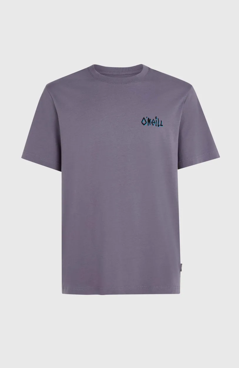 Outlet O’Neill Framed T-shirt | Storm