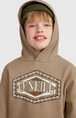 Sale O’Neill Front Print Hoodie | Concrete