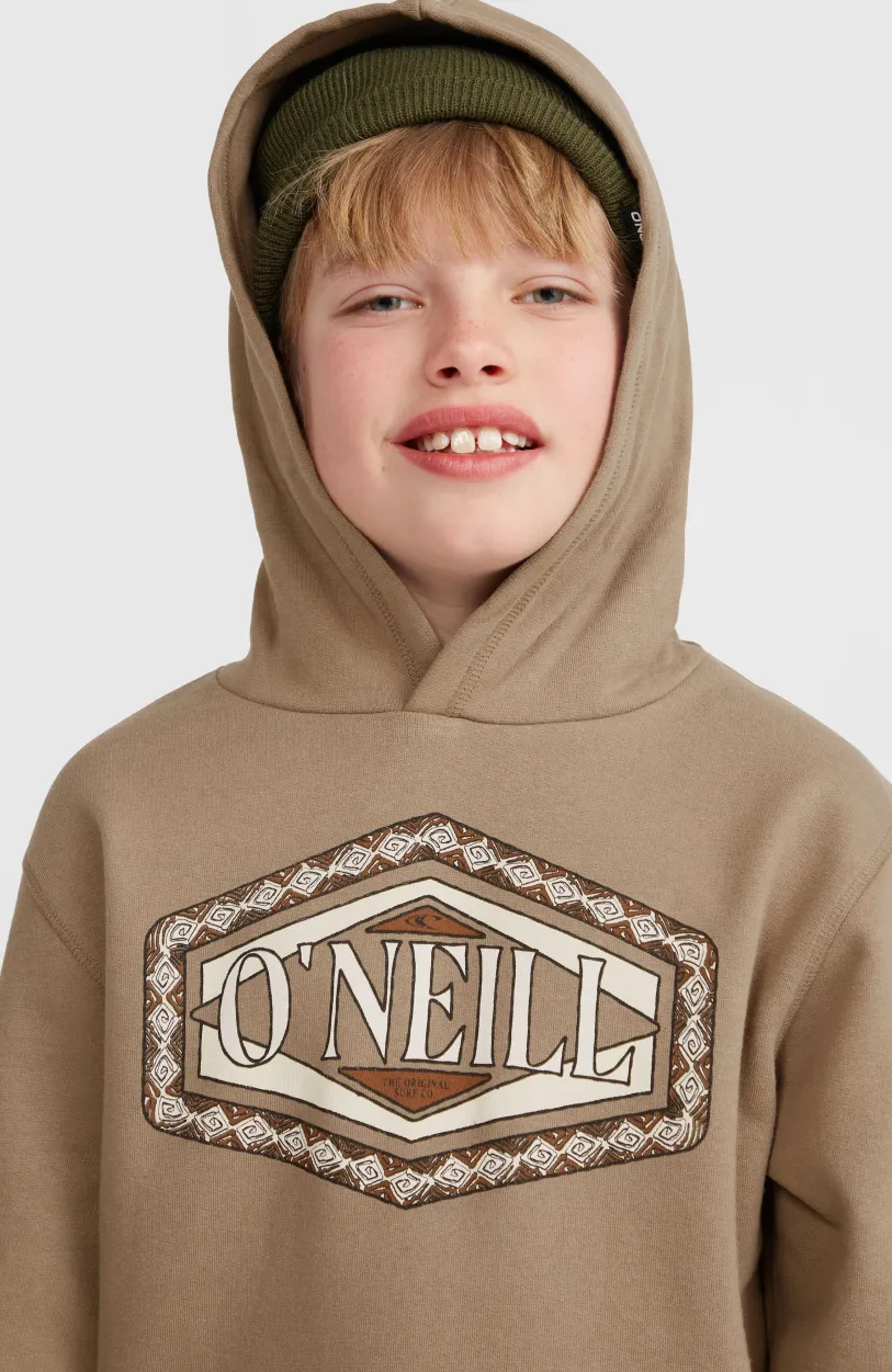 Sale O’Neill Front Print Hoodie | Concrete