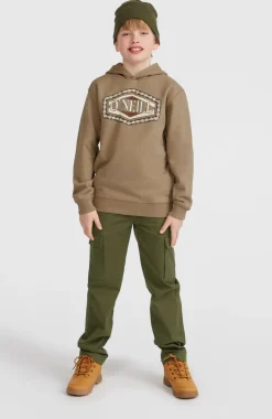 Sale O’Neill Front Print Hoodie | Concrete