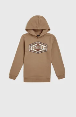 Sale O’Neill Front Print Hoodie | Concrete