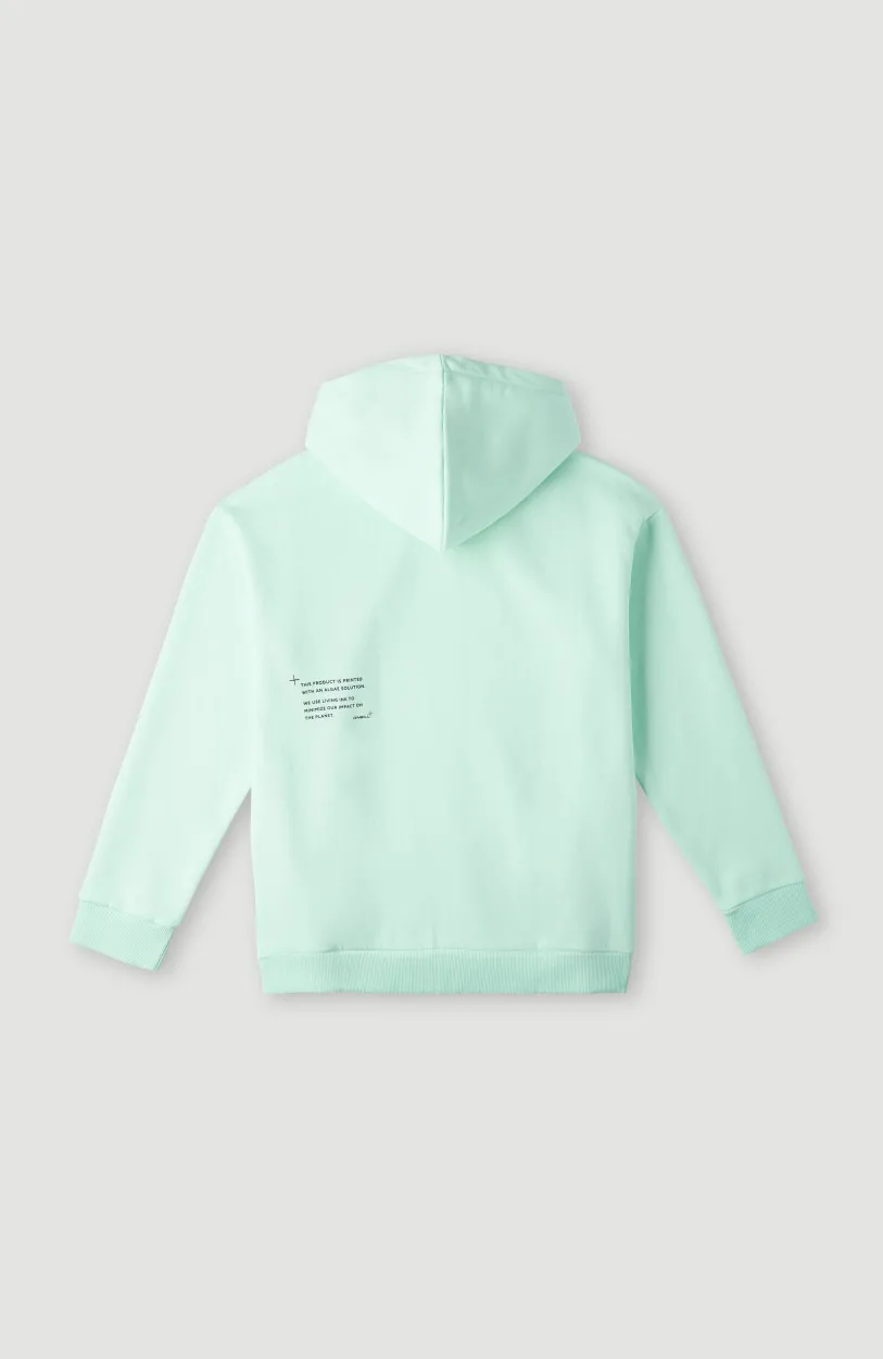 Online O’Neill Future Surf Hoodie | Beach Glass