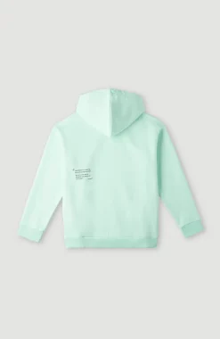 Online O’Neill Future Surf Hoodie | Beach Glass