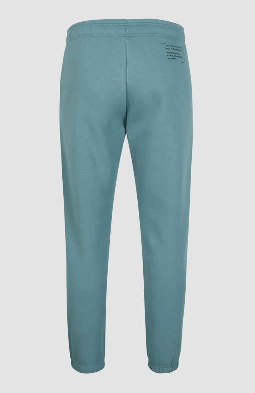 Best O’Neill Future Surf Joggingbroek | North Atlantic