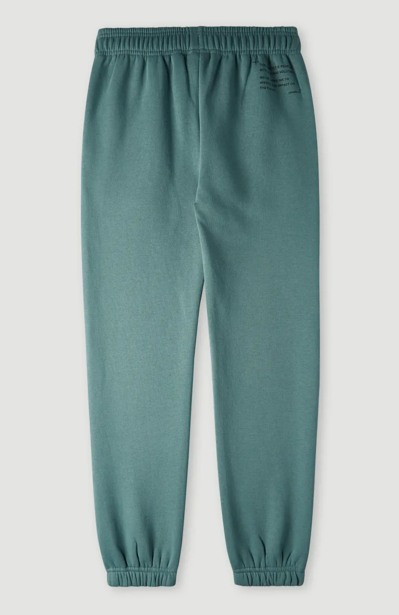 New O’Neill Future Surf Joggingbroek | North Atlantic