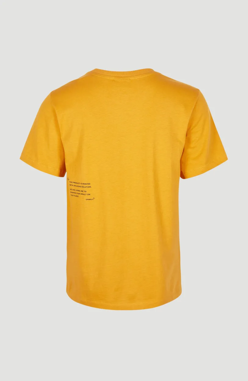Online O’Neill Future Surf Regular T-shirt | Nugget