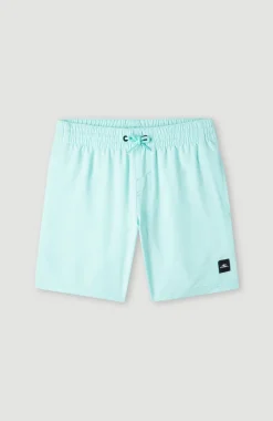 Outlet O’Neill Future Surf Society 14'' Zwemshort | Beach Glass
