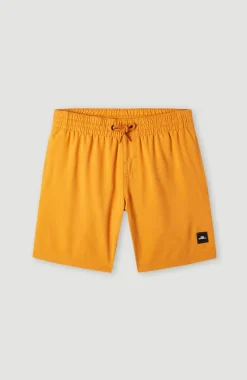 Best O’Neill Future Surf Society 14'' Zwemshort | Nugget