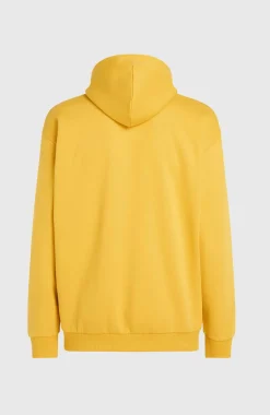 Discount O’Neill Future Surf Society Hoodie | Golden Haze