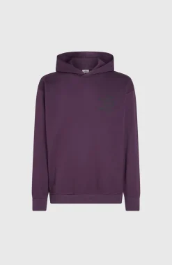 Clearance O’Neill Future Surf Society Hoodie | Aubergine