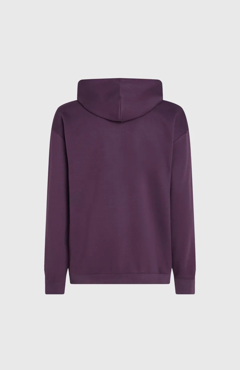 Clearance O’Neill Future Surf Society Hoodie | Aubergine