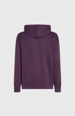 Clearance O’Neill Future Surf Society Hoodie | Aubergine