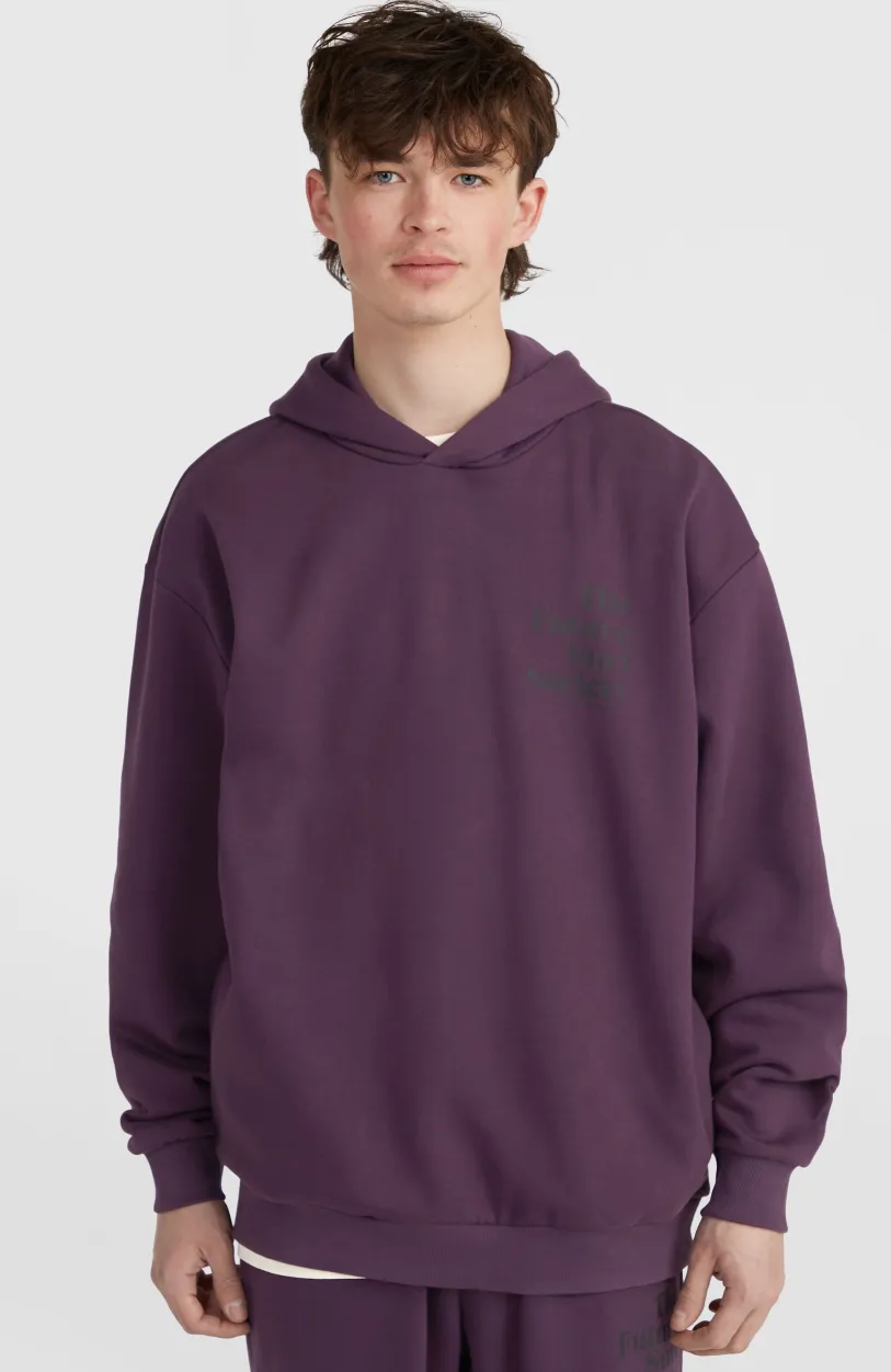 Clearance O’Neill Future Surf Society Hoodie | Aubergine