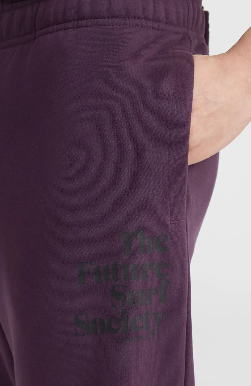 O’Neill Future Surf Society Joggingbroek | Aubergine