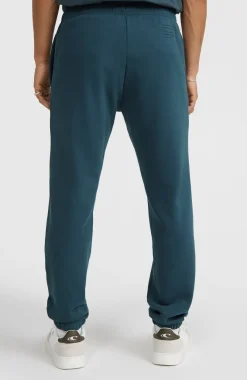 Online O’Neill Future Surf Society Joggingbroek | Alma Steel