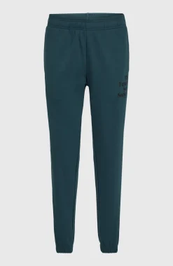 Online O’Neill Future Surf Society Joggingbroek | Alma Steel