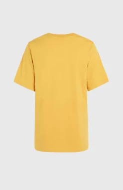 Discount O’Neill Future Surf Society Regular T-shirt | Golden Haze