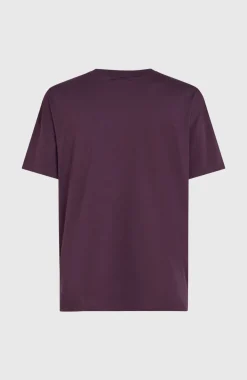 O’Neill Future Surf Society T-shirt | Aubergine