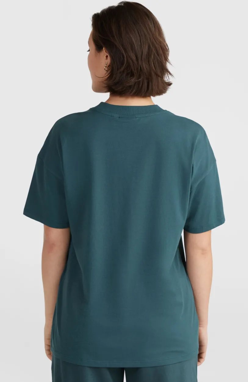 Sale O’Neill Future Surf Society T-shirt | Alma Steel