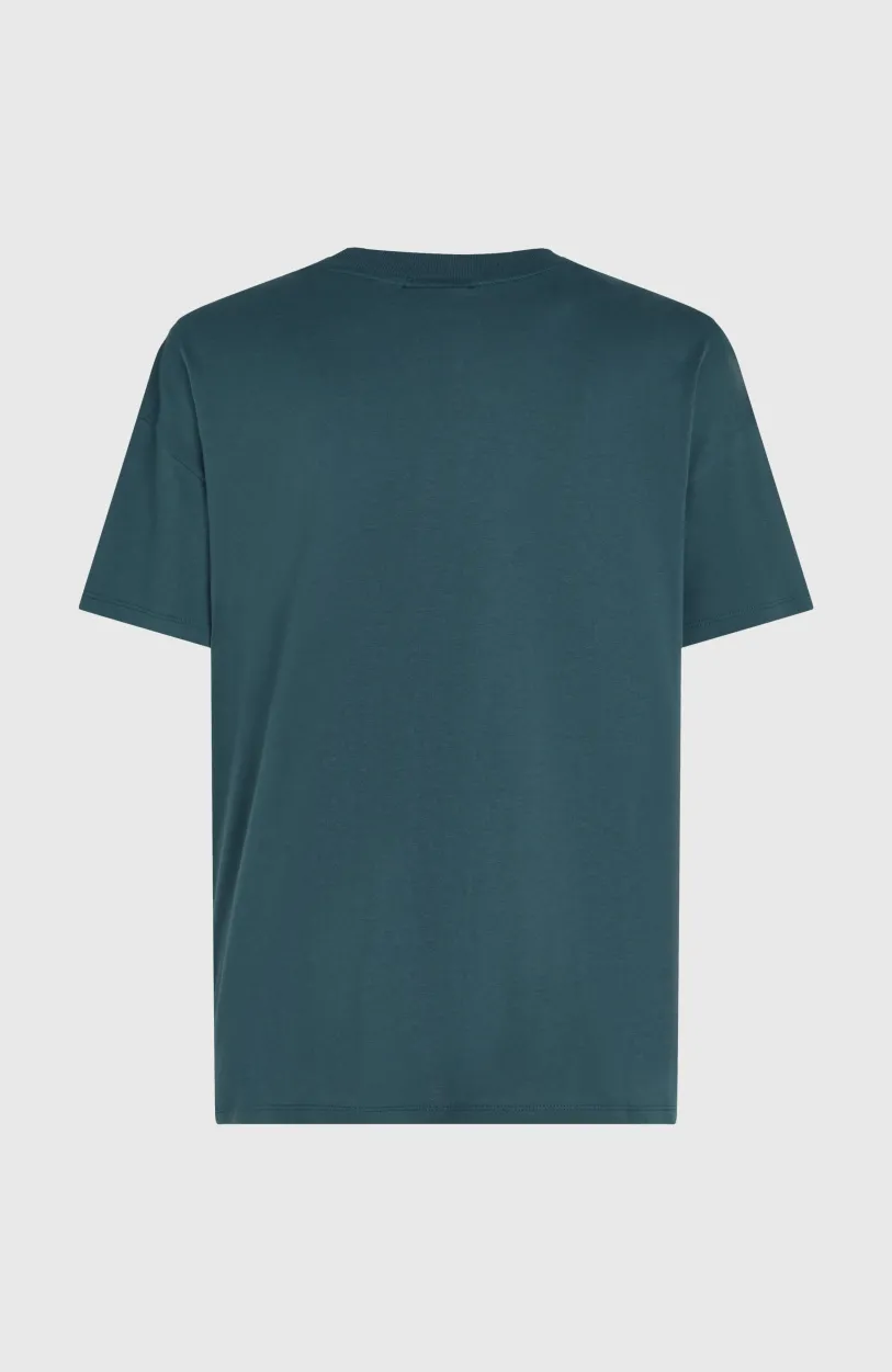 Sale O’Neill Future Surf Society T-shirt | Alma Steel
