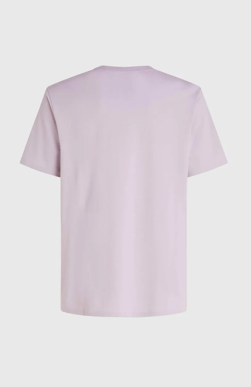 Clearance O’Neill Future Surf Society T-shirt | Iris